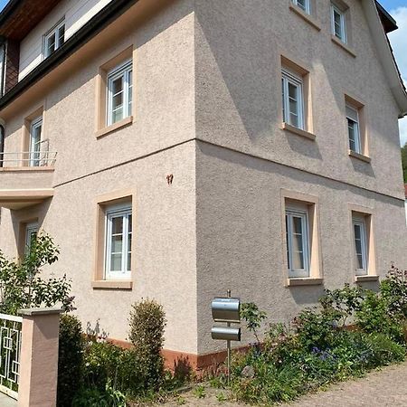 Ferienwohnung Diana Und Manuel Вайнхайм Екстериор снимка