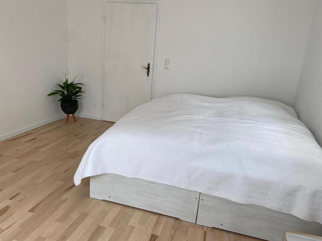 Ferienwohnung Diana Und Manuel Вайнхайм Екстериор снимка