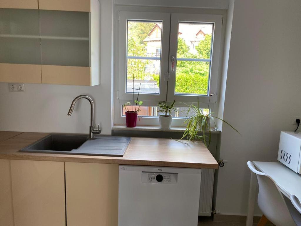 Ferienwohnung Diana Und Manuel Вайнхайм Екстериор снимка